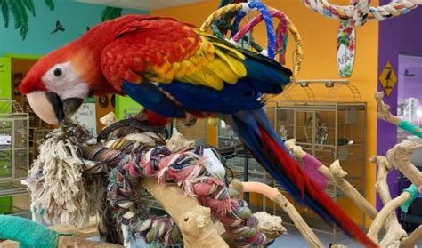 I was shopping there over the weekend. . Tc feathers aviary